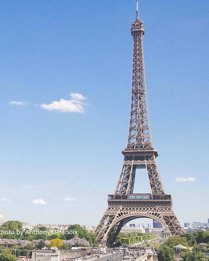 Pastry & Culinary Arts